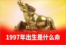 1997年出生是什么命澗下水命
