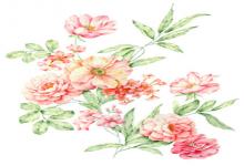 男人聰明的手相