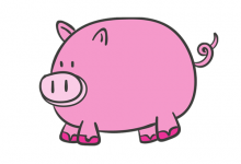 1971年屬豬男人一生婚姻運(yùn)勢