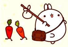 屬兔的寶寶幾月出生優秀