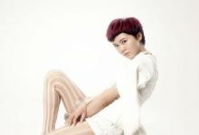 1995年屬豬的最為適當配偶 1995年屬豬人的婚配