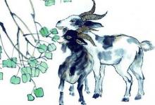 67年屬羊人哪年運(yùn)不好,鼠年經(jīng)濟(jì)變難