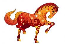 屬馬養魚養幾條好，魚缸的朝向