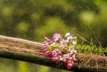 今天是幾九第幾天2018年