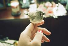 斷掌手相知命運-男人斷掌好不好