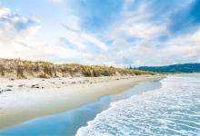 屬龍媽媽和豬寶寶相沖嗎