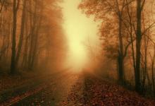 痣的位置與命運-哪些痣不能點