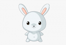 屬兔男喜歡一個人的反應