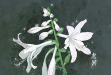 2019處暑具體時辰是多少 處暑時辰吉兇分析!