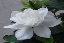 天蝎座俘獲女人心必看的電影