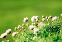 商業相面術——適相、適才、適用