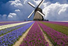 相學著作《神相金較剪》之面相三十問