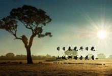 哪些痣相的人容易出現(xiàn)不孝子