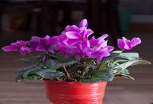 金牛座男生出門會幫女朋友拎包嗎