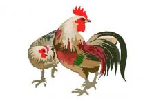 2017年運勢優(yōu)秀的屬相排名