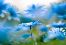 天梁星在疾厄?qū)m