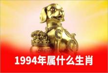 1994年屬什么生肖屬相是狗