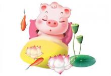 屬豬的人本命年好不好?