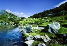 母親屬虎生豬寶寶好不好呢