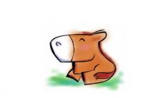 農(nóng)歷3月出生屬馬人命好嗎