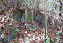 墳墓里有蛇代表什么,墳墓里有蛇風水好嗎