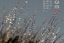 2019年農(nóng)歷九月初十寒露節(jié)氣出生的女寶寶命運(yùn)好不好?