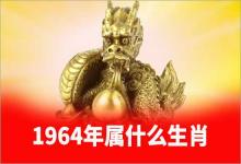 1964年屬什么生肖屬相是龍