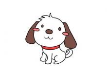 1994年屬狗的幾月出生優(yōu)秀，94年屬狗人一生命運如何