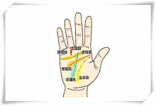 感情線分叉代表什么,圖解感情線分叉的秘密