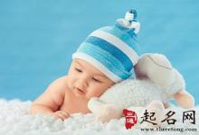 姓唐的男孩名字大全2018屬狗