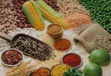 立秋養生小常識 立秋后養生要注意什么?