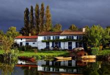 詳解陽(yáng)宅樹(shù)木種植風(fēng)水