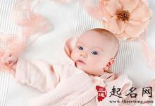 姓高的女孩名字大全2018屬狗