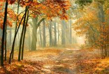 2020年25歲屬什么生肖,今年運勢如何