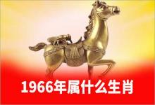 1966年屬什么生肖屬相是馬