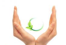 手指長短看你婚姻事業命運如何