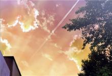 98年屬虎人的哪年運不好，猴年精疲力盡