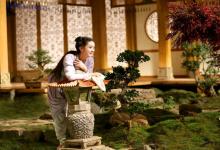 鳳凰男和孔雀女的長相特征解讀