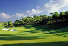 94年屬狗的哪年運不好,龍年運勢變差