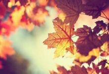 2019年農(nóng)歷九月十八黃歷日子適合掃墓祭祖嗎?