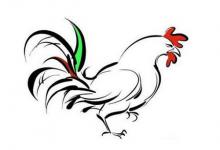 2017年屬什么生肖,17年出生是什么命