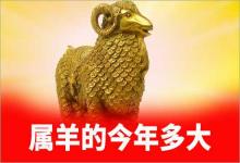2019年屬羊的今年多大