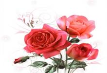 金牛座如何面對自己的夢想