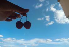 2019豬年農歷九月初三出生的人屬于什么星座 這天是什么日子?