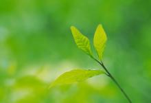 2019年農歷九月初九日子好不好 是黃道吉日嗎?