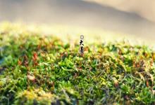 2019年大暑是哪天?大暑節(jié)氣是第幾個節(jié)氣?