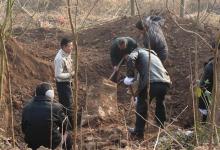 復三上墳是什么意思