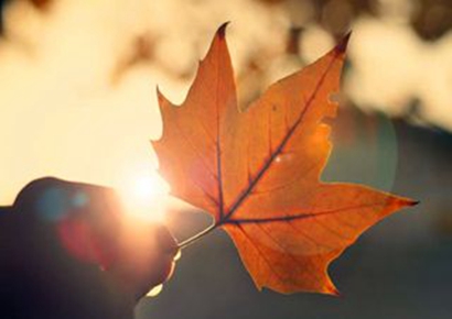 秋分節氣9月23日出生的偉人名人有哪些?(圖文)