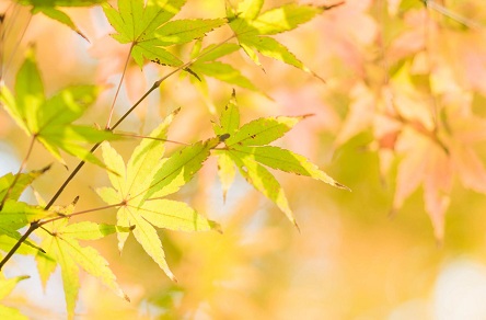 2012年12月出生的人是什么命?一生運勢如何?(圖文)