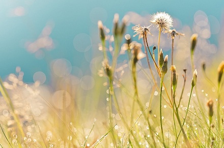 76年生肖龍的貴人屬什么？76年屬龍人2019年運勢如何？(圖文)